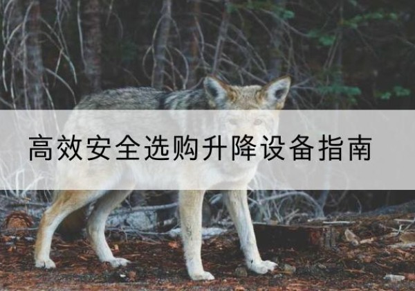 江北区升降货梯厂家推荐-*安全选购升降设备指南