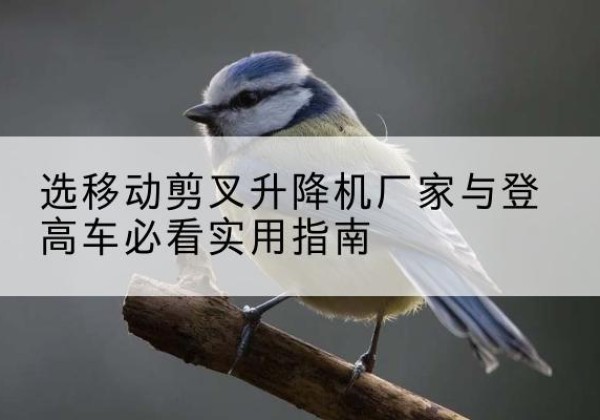 江北区电动升降机厂家-选移动剪叉升降机厂家与登高车必看实用指南