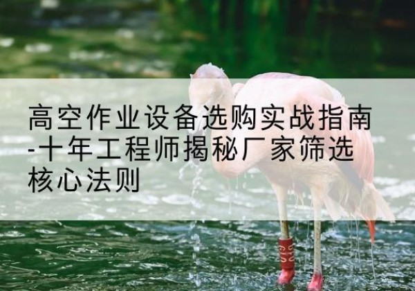 江北区剪叉式升降机厂家-高空作业设备选购实战指南-十年工程师揭秘厂家筛选核心法则
